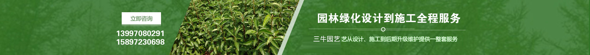 青海苗木種植